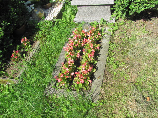 Julia Romaniak 1941 Bielsko-Biała Lipnik - Grobonet - Wyszukiwarka osób pochowanych